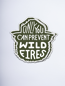 Smokey Bear 4” Decals (pack of 25) green