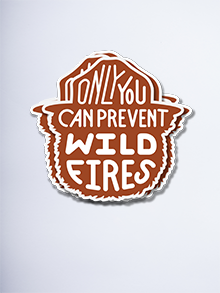 Smokey Bear 4” Decals (pack of 25) red