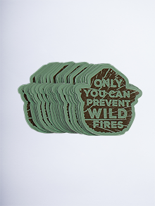 Smokey Bear 2" Magnets (pack of 25) green/brown