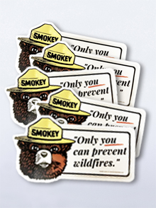 Smokey Bear "Only YOU" Window Clings (pack of 50)