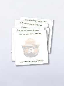 Smokey Bear Sticky Notepads (pack of 25)