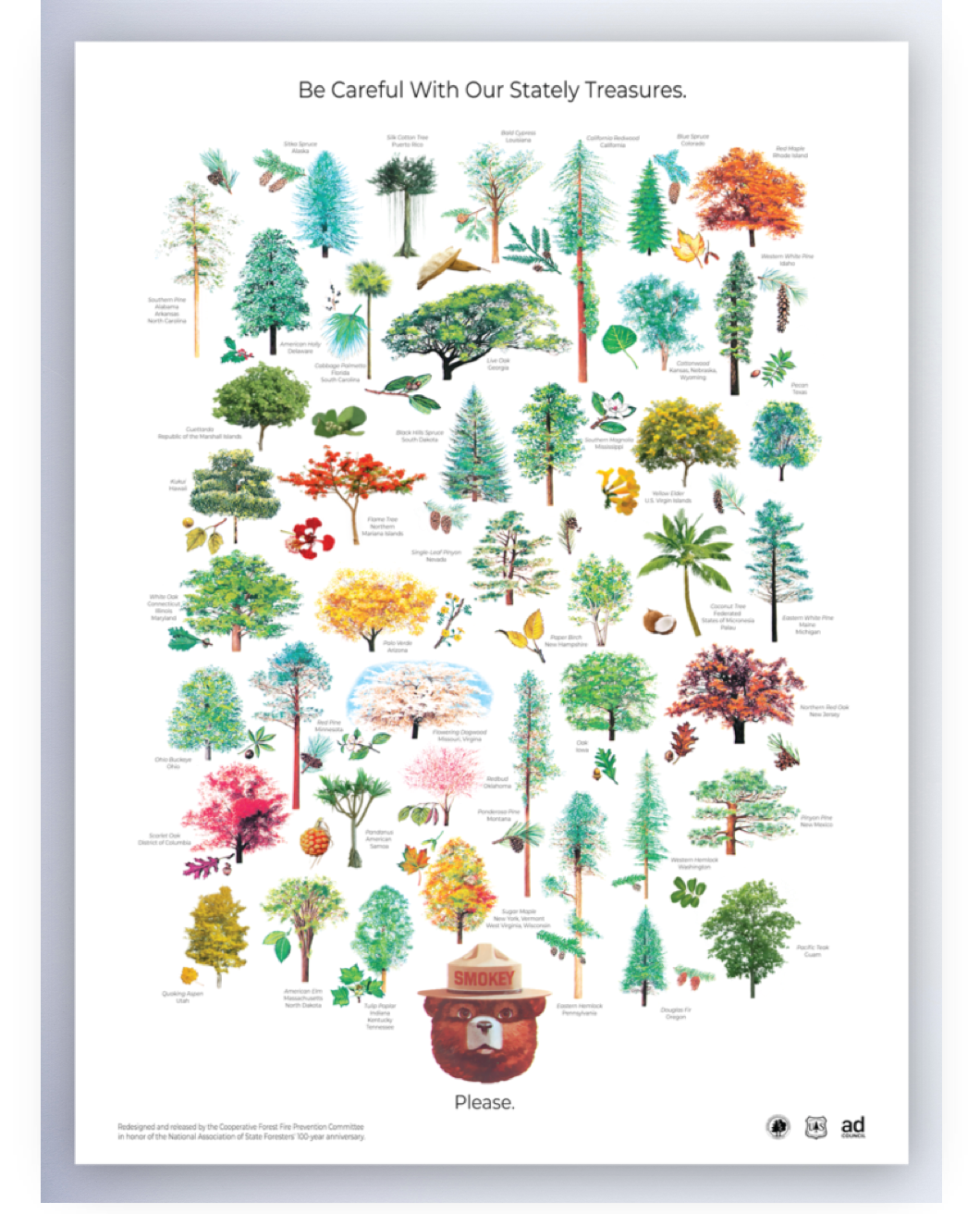 Stately Treasures Centennial Poster 20” x 30”